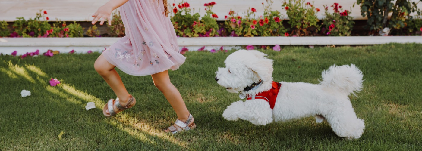 DogWatch of Southeastern CT, Old Lyme, Connecticut | Outdoor Hidden Dog Fences Slider Image